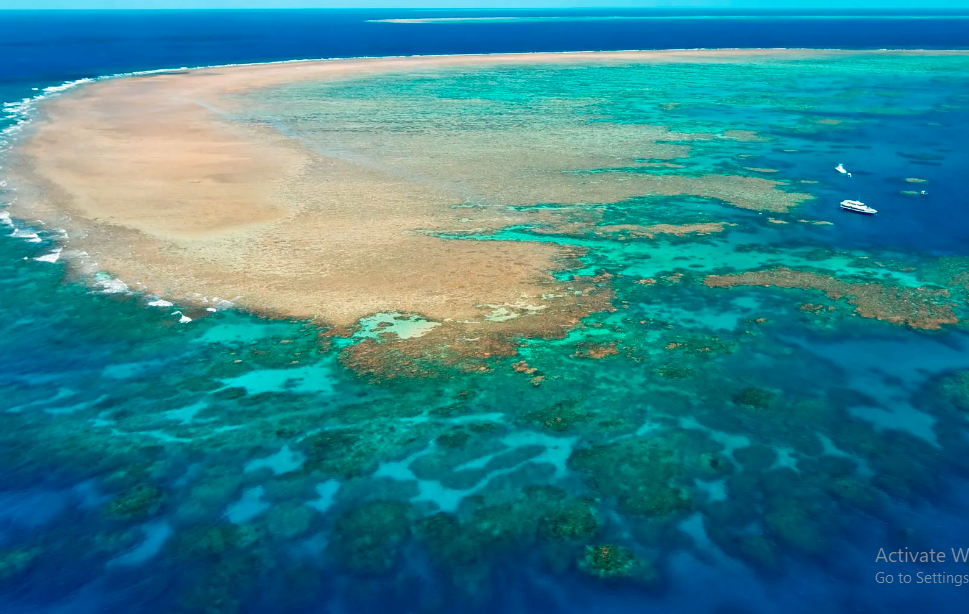 Traveling to Australia? Check out the Bucket List First!!