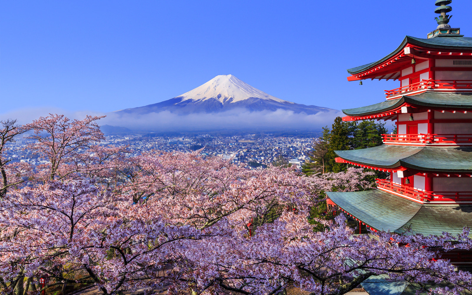 Cherry Blossom Japan 08 Nights / 09 Days