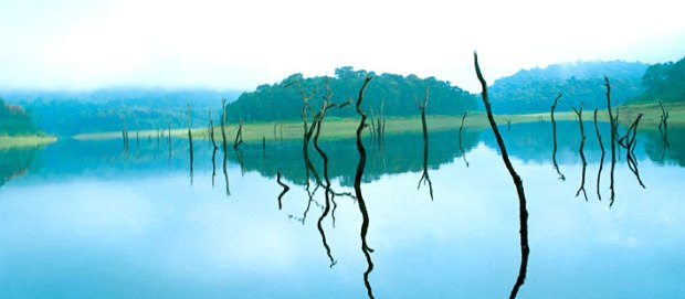 God's Own Country 08 Nights / 09 Days