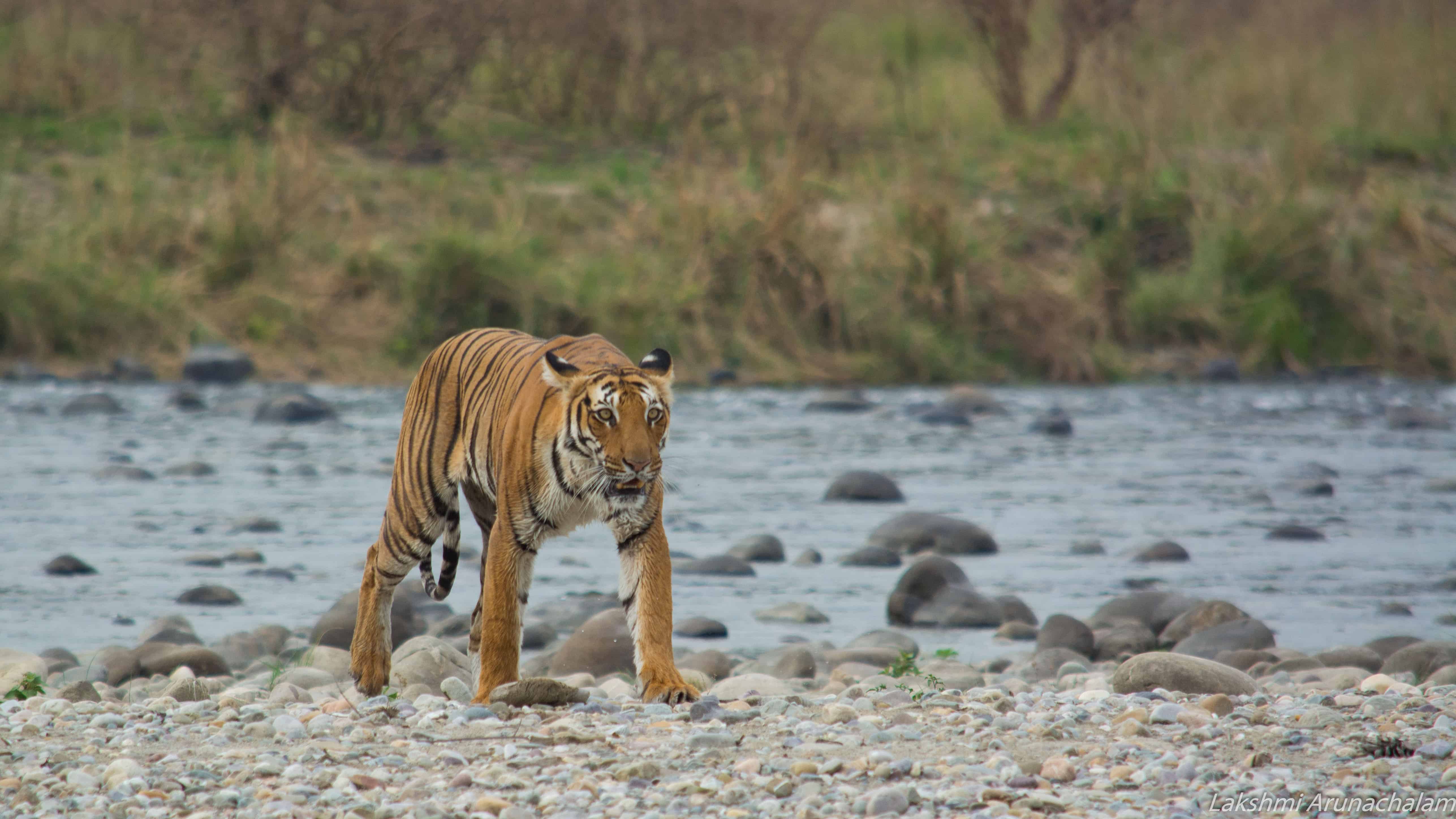 Whole Of Uttarakhand 08 Nights / 09 Days