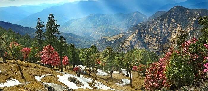 Best Of Uttarakhand 08 Nights / 09 Days