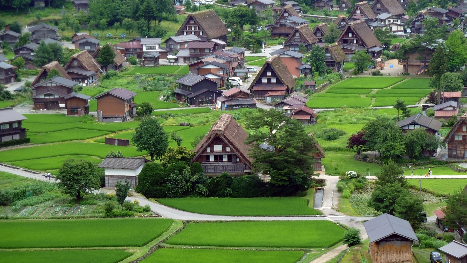 Land Of The Rising Sushi Japan 10 Nights / 11 Days